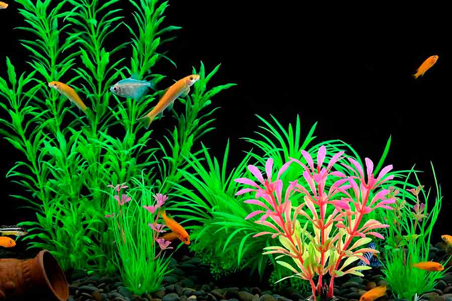 Plantas artificiales decorativas para acuarios de bajo mantenimiento
